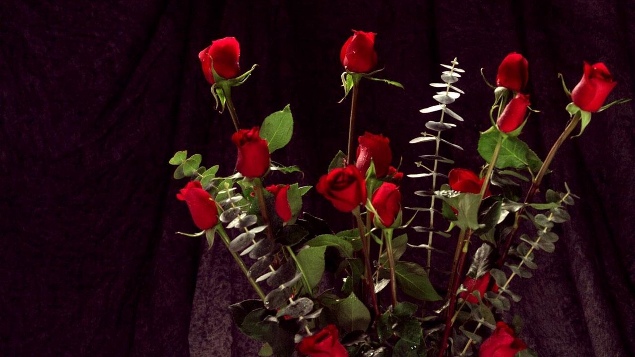 Wallpaper roses, flowers, bouquet, elegant, beauty