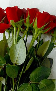 Preview wallpaper roses, flowers, bouquet, lies, tablecloth