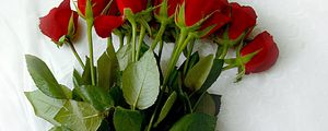Preview wallpaper roses, flowers, bouquet, lies, tablecloth
