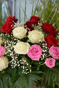 Preview wallpaper roses, flowers, bouquet, decoration, gypsophila, beauty