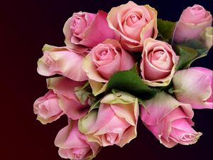 Preview wallpaper roses, flowers, bouquet, buds, pink