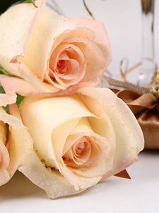 Preview wallpaper roses, flowers, bouquet, drops, fresh, gift, surprise