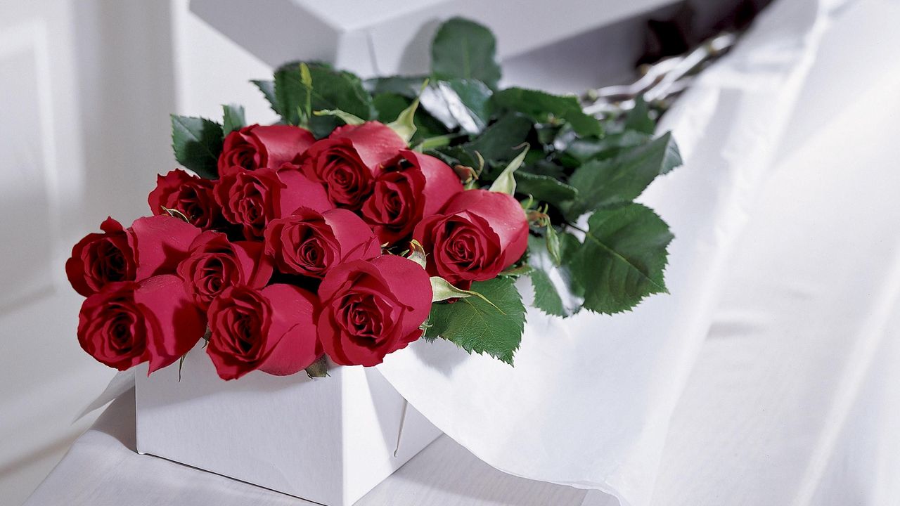 Wallpaper roses, flowers, bouquet, elegant, box