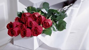 Preview wallpaper roses, flowers, bouquet, elegant, box