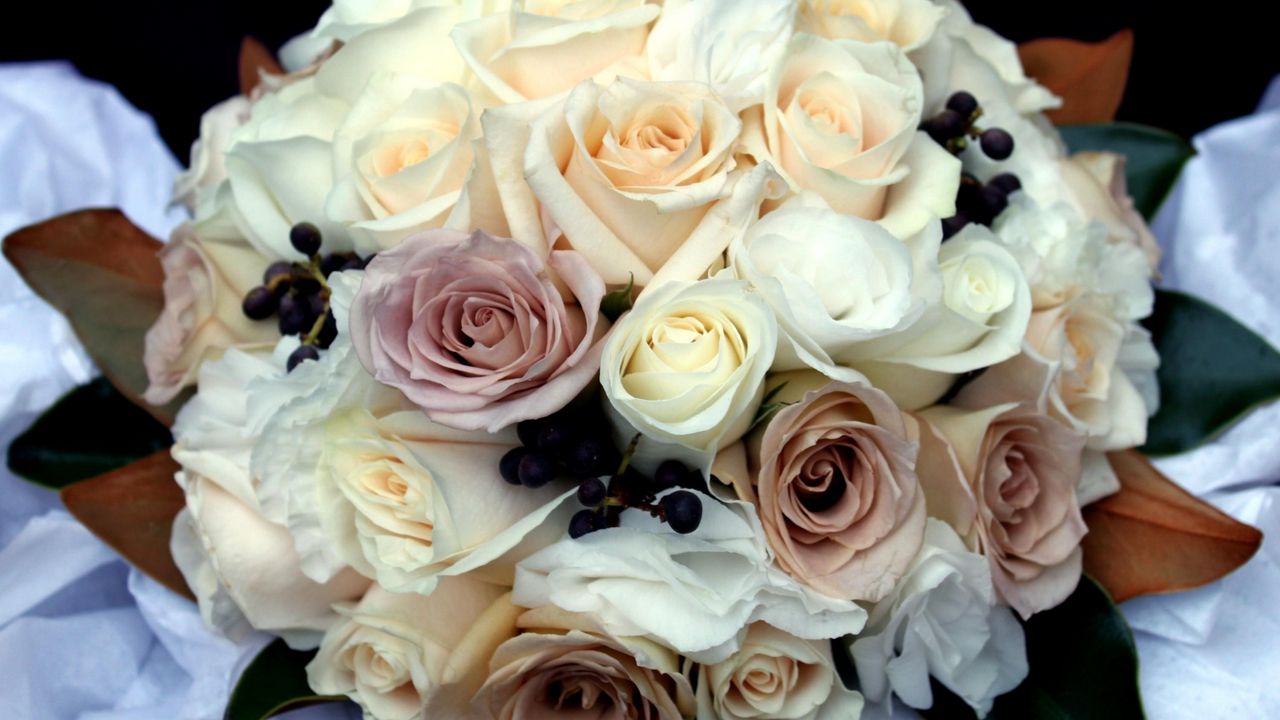 Wallpaper roses, flowers, bouquet, beautiful