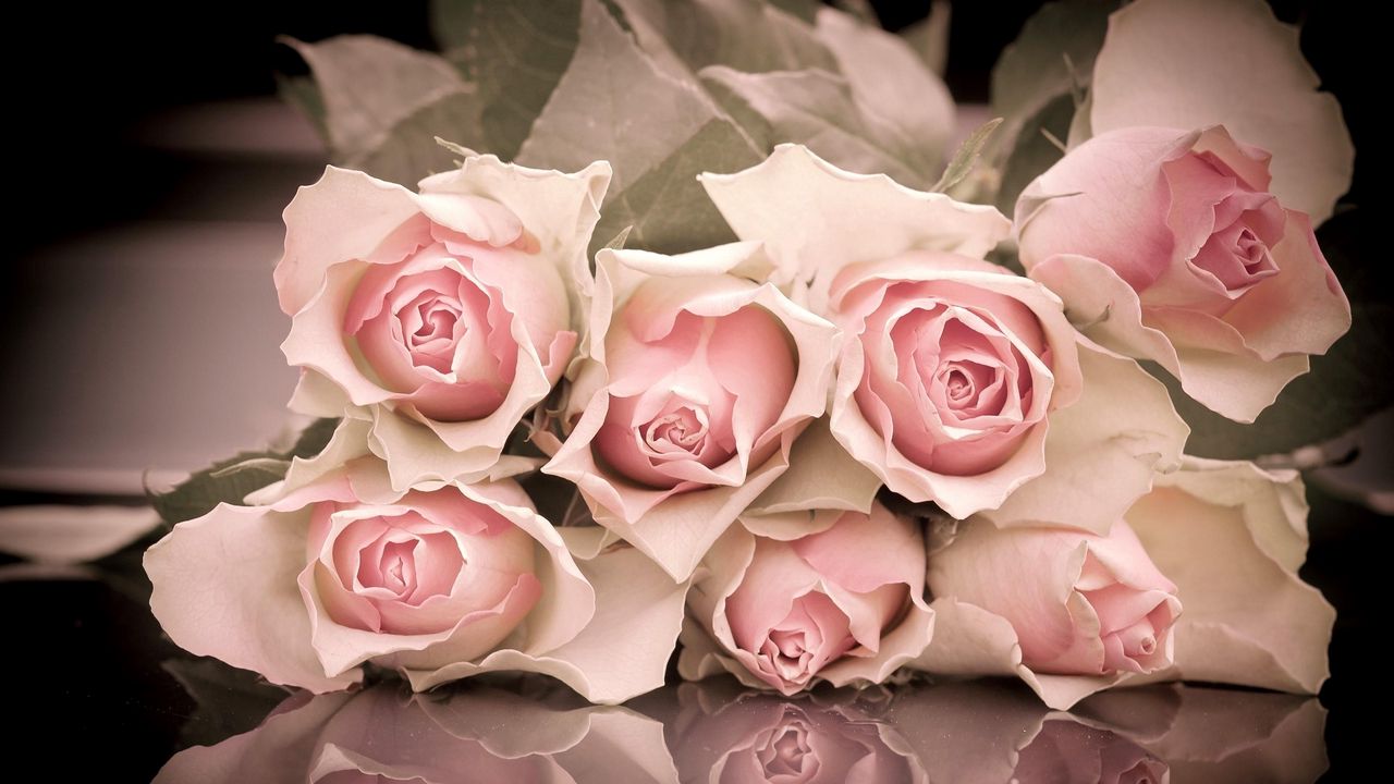 Wallpaper roses, flowers, bouquet, lie, reflection hd, picture, image