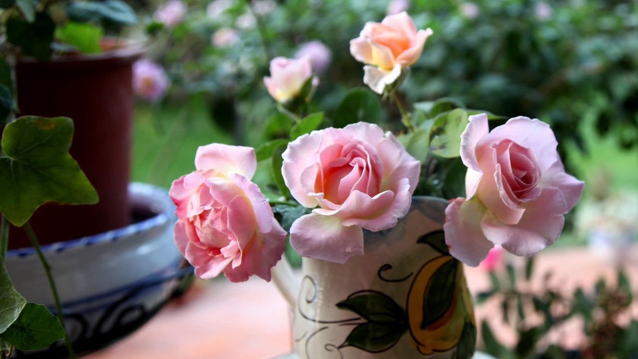 Wallpaper roses, flowers, bouquet, vase, sharpness hd, picture, image