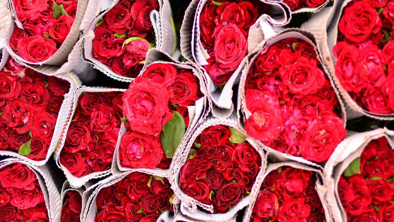Wallpaper roses, flowers, bouquets, red