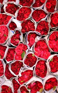 Preview wallpaper roses, flowers, bouquets, red