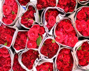 Preview wallpaper roses, flowers, bouquets, red