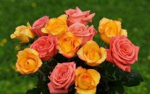 Preview wallpaper roses, flowers, bouquets, greens, drop, freshness