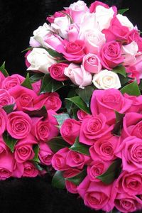 Preview wallpaper roses, flowers, bouquets, three, drop, freshness, appearance, beauty