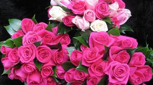 Preview wallpaper roses, flowers, bouquets, three, drop, freshness, appearance, beauty