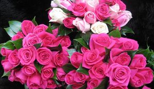 Preview wallpaper roses, flowers, bouquets, three, drop, freshness, appearance, beauty