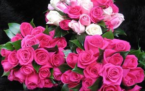 Preview wallpaper roses, flowers, bouquets, three, drop, freshness, appearance, beauty