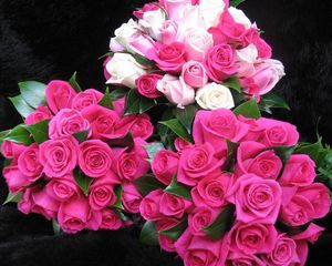 Preview wallpaper roses, flowers, bouquets, three, drop, freshness, appearance, beauty