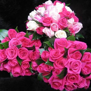 Preview wallpaper roses, flowers, bouquets, three, drop, freshness, appearance, beauty