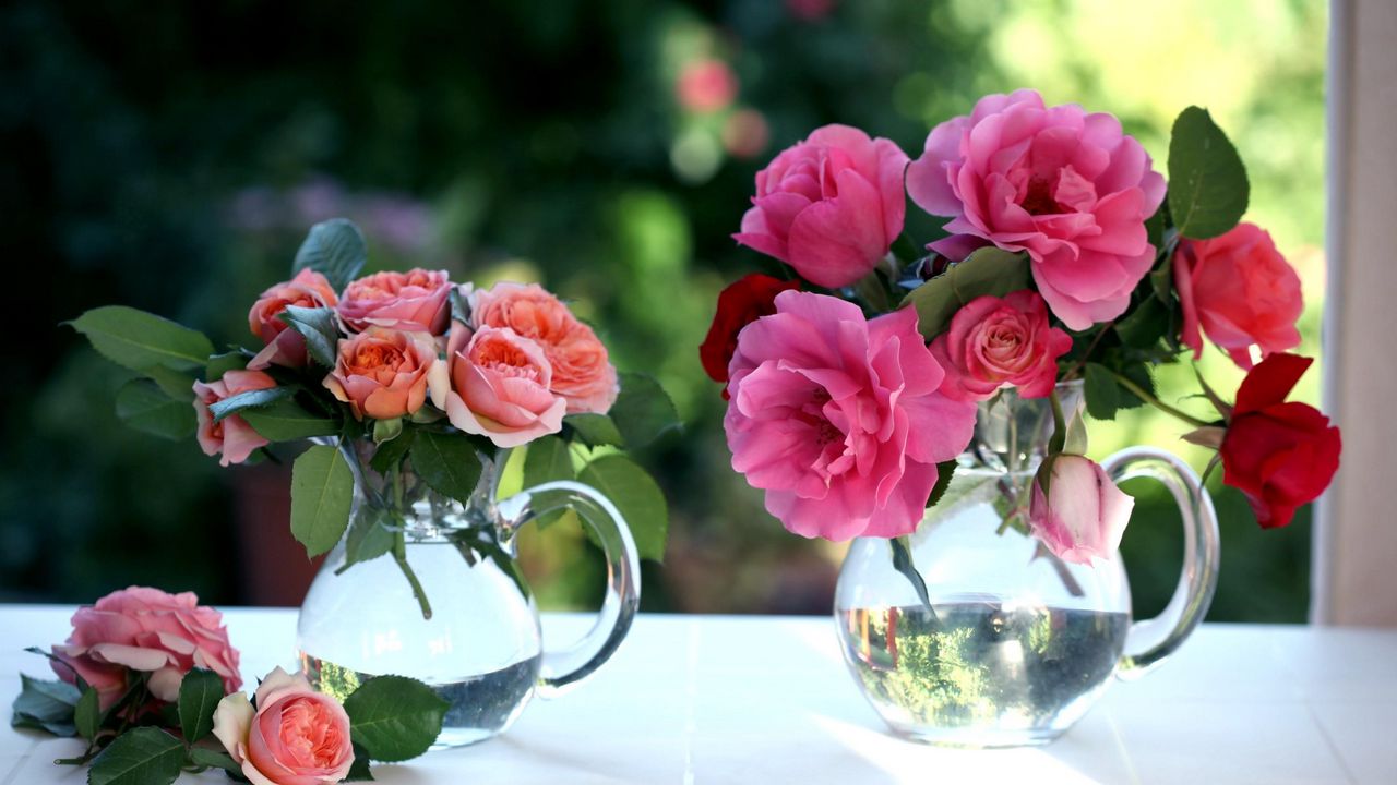 Wallpaper roses, flowers, bouquets, pots, window