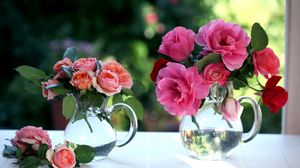 Preview wallpaper roses, flowers, bouquets, pots, window