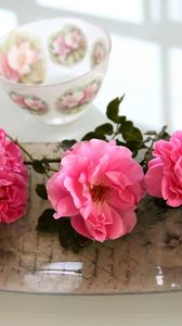 Preview wallpaper roses, flowers, bowl, tray