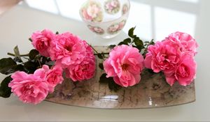 Preview wallpaper roses, flowers, bowl, tray