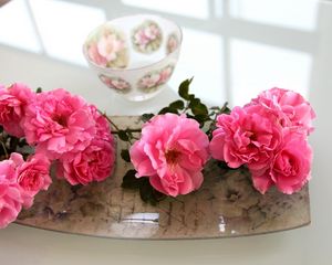 Preview wallpaper roses, flowers, bowl, tray