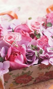 Preview wallpaper roses, flowers, box, tape, gift