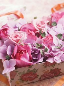 Preview wallpaper roses, flowers, box, tape, gift