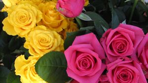 Preview wallpaper roses, flowers, buds, pink, yellow
