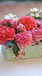Preview wallpaper roses, flowers, buds, box, gift, surprise, cup