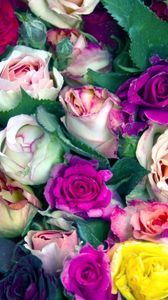 Preview wallpaper roses, flowers, buds, colorful, lot