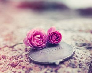 Preview wallpaper roses, flowers, couple, medallions