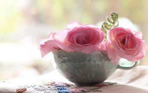 Preview wallpaper roses, flowers, cup, close-up