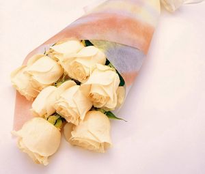 Preview wallpaper roses, flowers, delicate, flower, packaging