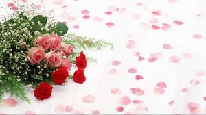 Preview wallpaper roses, flowers, flower, petals, romance