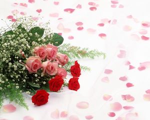 Preview wallpaper roses, flowers, flower, petals, romance