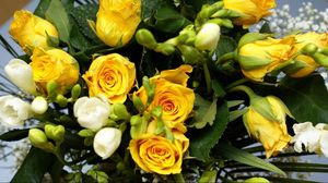 Preview wallpaper roses, flowers, flower, yellow, leaves, beauty