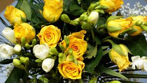 Preview wallpaper roses, flowers, flower, yellow, leaves, beauty