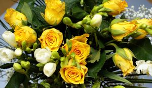 Preview wallpaper roses, flowers, flower, yellow, leaves, beauty