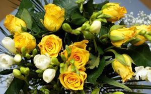 Preview wallpaper roses, flowers, flower, yellow, leaves, beauty