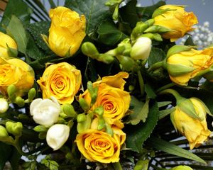 Preview wallpaper roses, flowers, flower, yellow, leaves, beauty