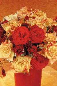 Preview wallpaper roses, flowers, flower, shrub, vase, decoration