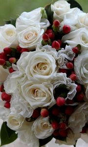 Preview wallpaper roses, flowers, flower, berry, design, beautifully