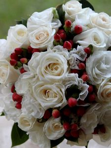 Preview wallpaper roses, flowers, flower, berry, design, beautifully