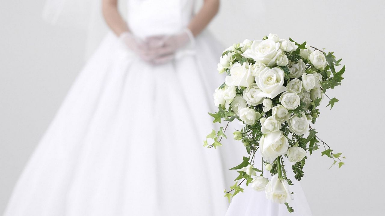 Wallpaper roses, flowers, flower, white, bride, wedding