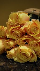 Preview wallpaper roses, flowers, flower, yellow, spotted