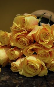 Preview wallpaper roses, flowers, flower, yellow, spotted