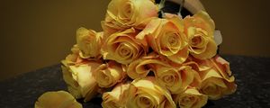 Preview wallpaper roses, flowers, flower, yellow, spotted