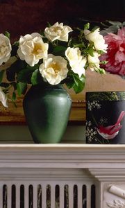 Preview wallpaper roses, flowers, flowing, bouquet, vase, picture, box