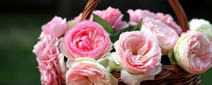 Preview wallpaper roses, flowers, flowing, buds, shopping